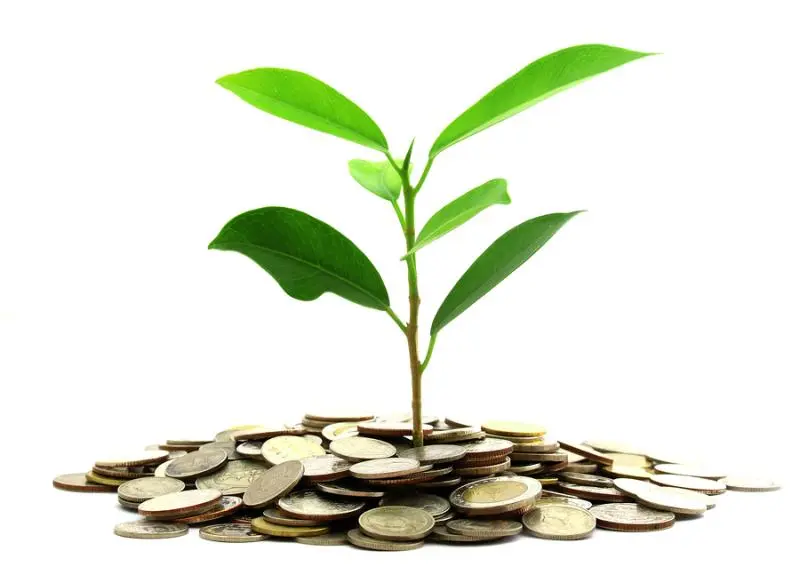 Инвестиции SKF в сохранение экологии | Свежие новости в Белгороде