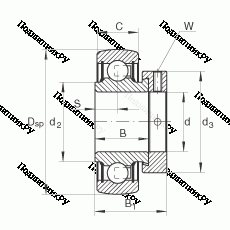 Подшипник RALE 25-NPP-B